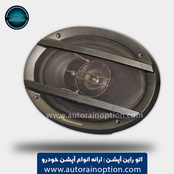 باند خودرو پایونیر مدل TS-F690 | اتو راین آپشن