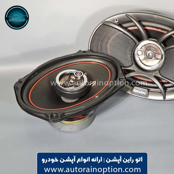 باند ساووی مدل SV-6965 بسته دو عددی | اتو راین آپشن