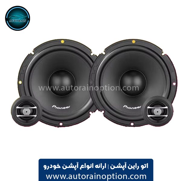 کامپوننت پایونیر Pioneer TS-H170C اتو راین آپشن